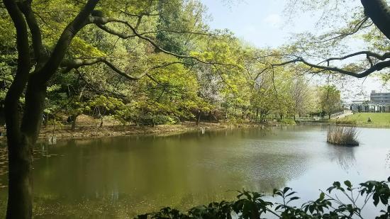 Tsuzuki Merkez Parkı